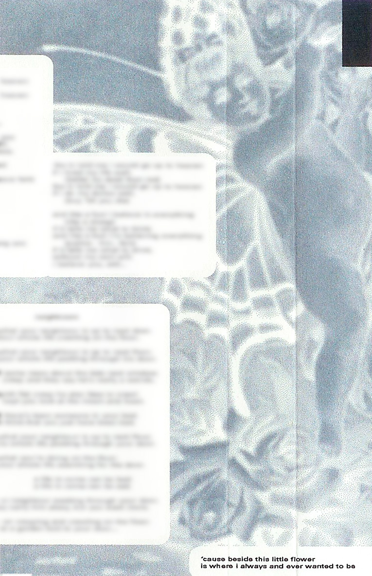 T-ACHE God on the Ladder - Retrospective 91 - 97, Album Cover, excerpt, selfpity